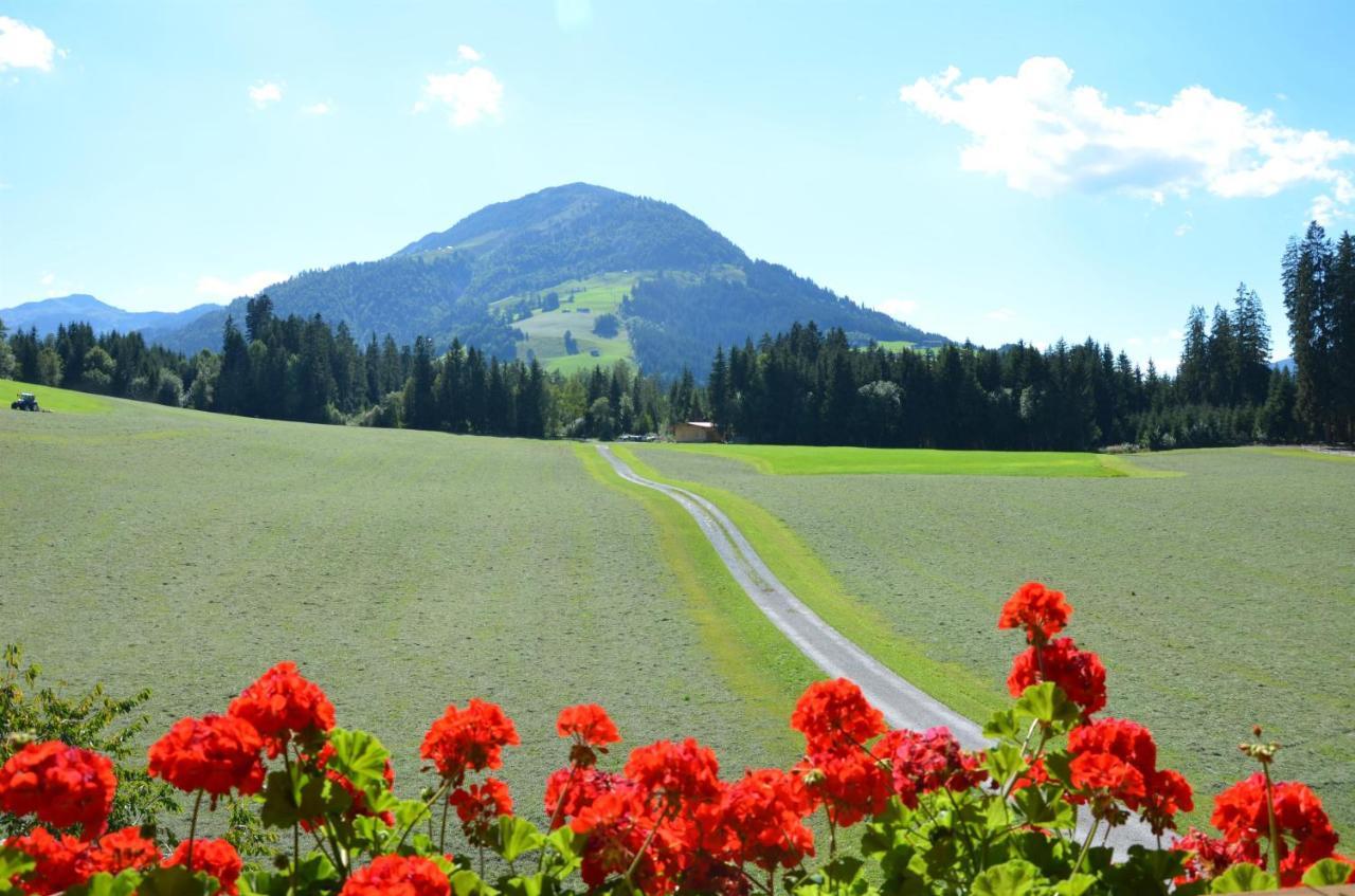 Woetzinghof Kirchberg in Tirol
