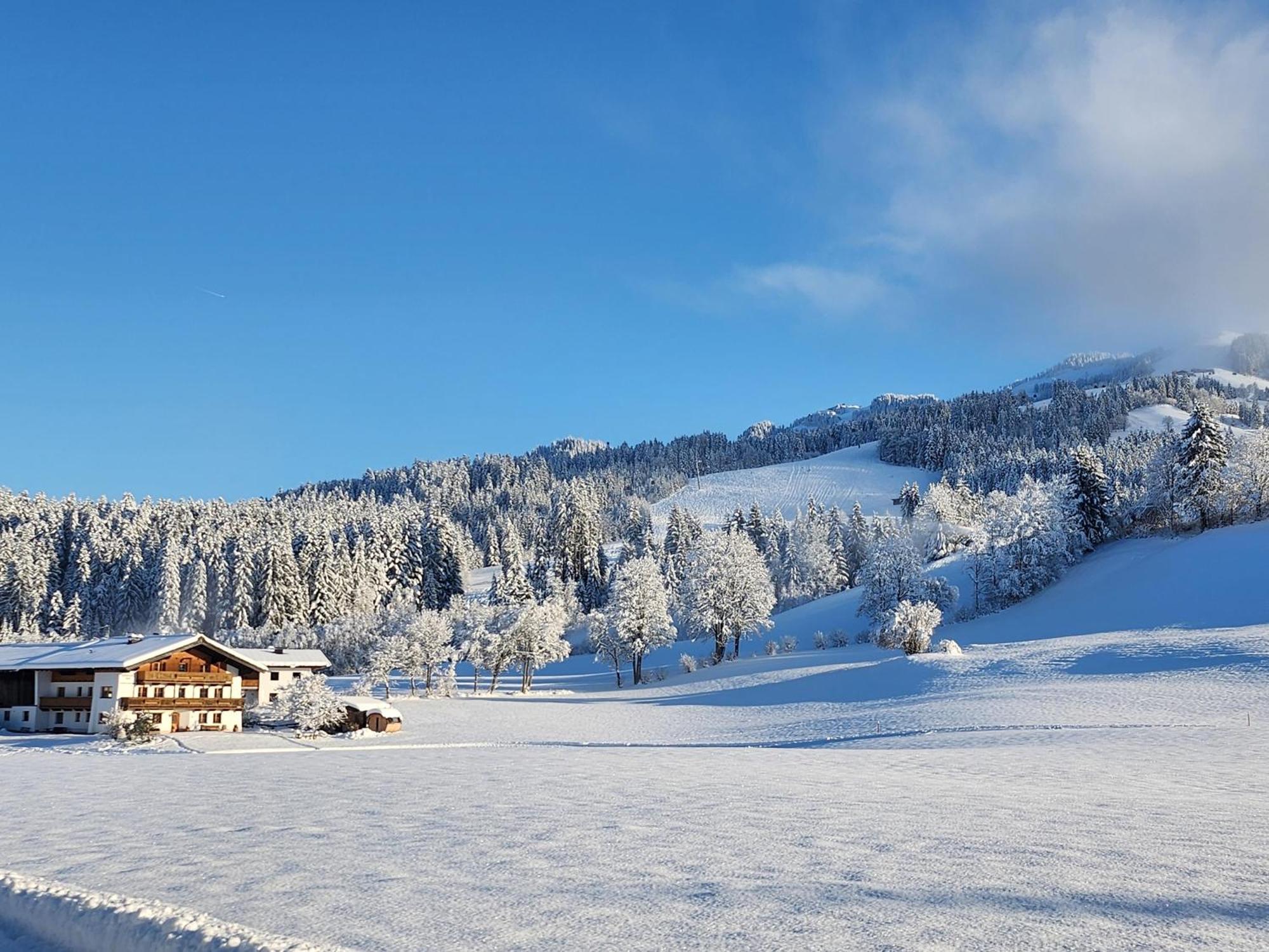 Woetzinghof Farm stay