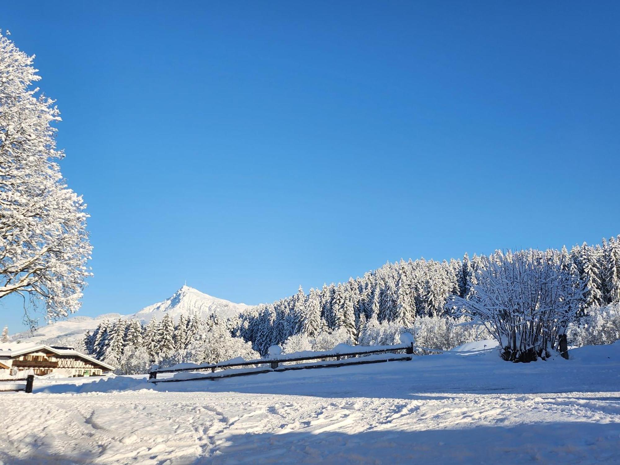Woetzinghof Farm stay Kirchberg in Tirol