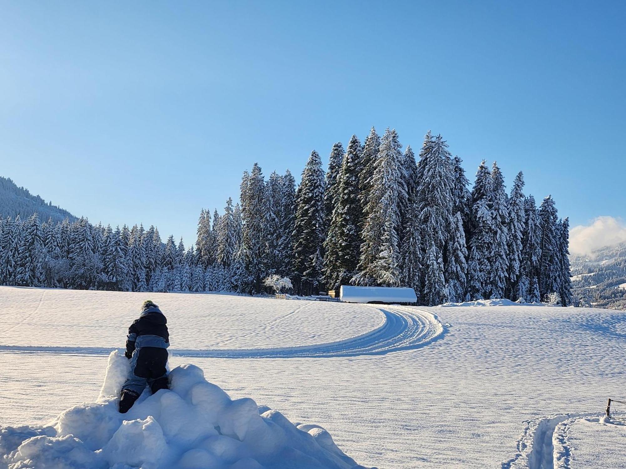 Woetzinghof Kirchberg in Tirol