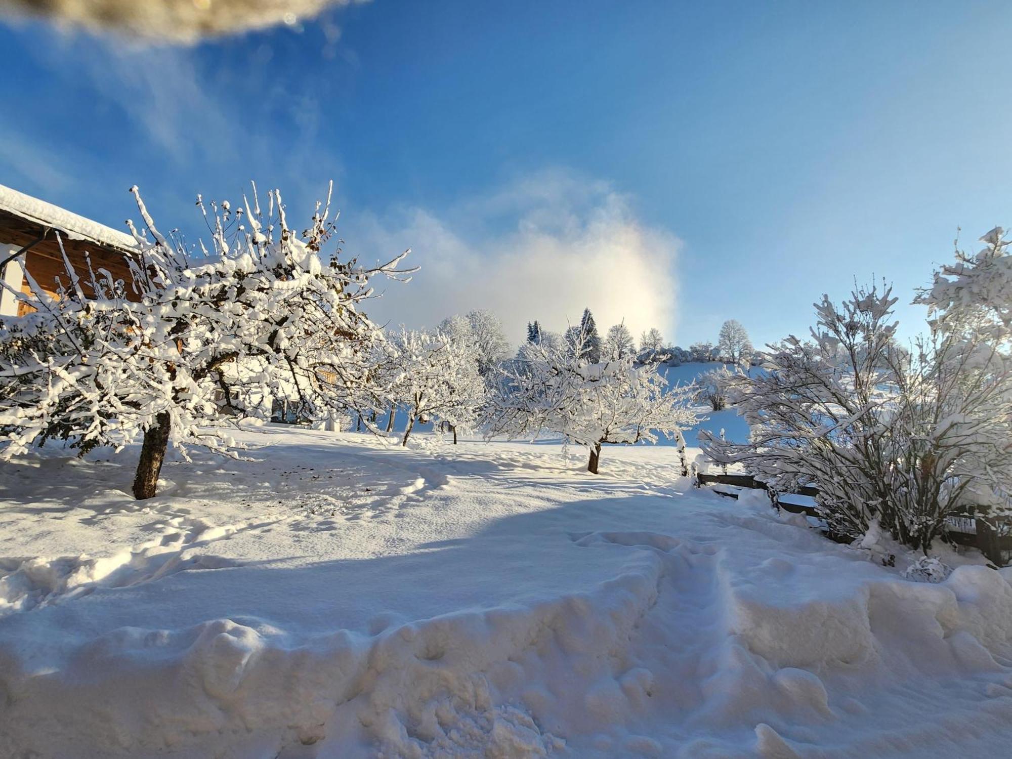 Woetzinghof Farm stay Kirchberg in Tirol