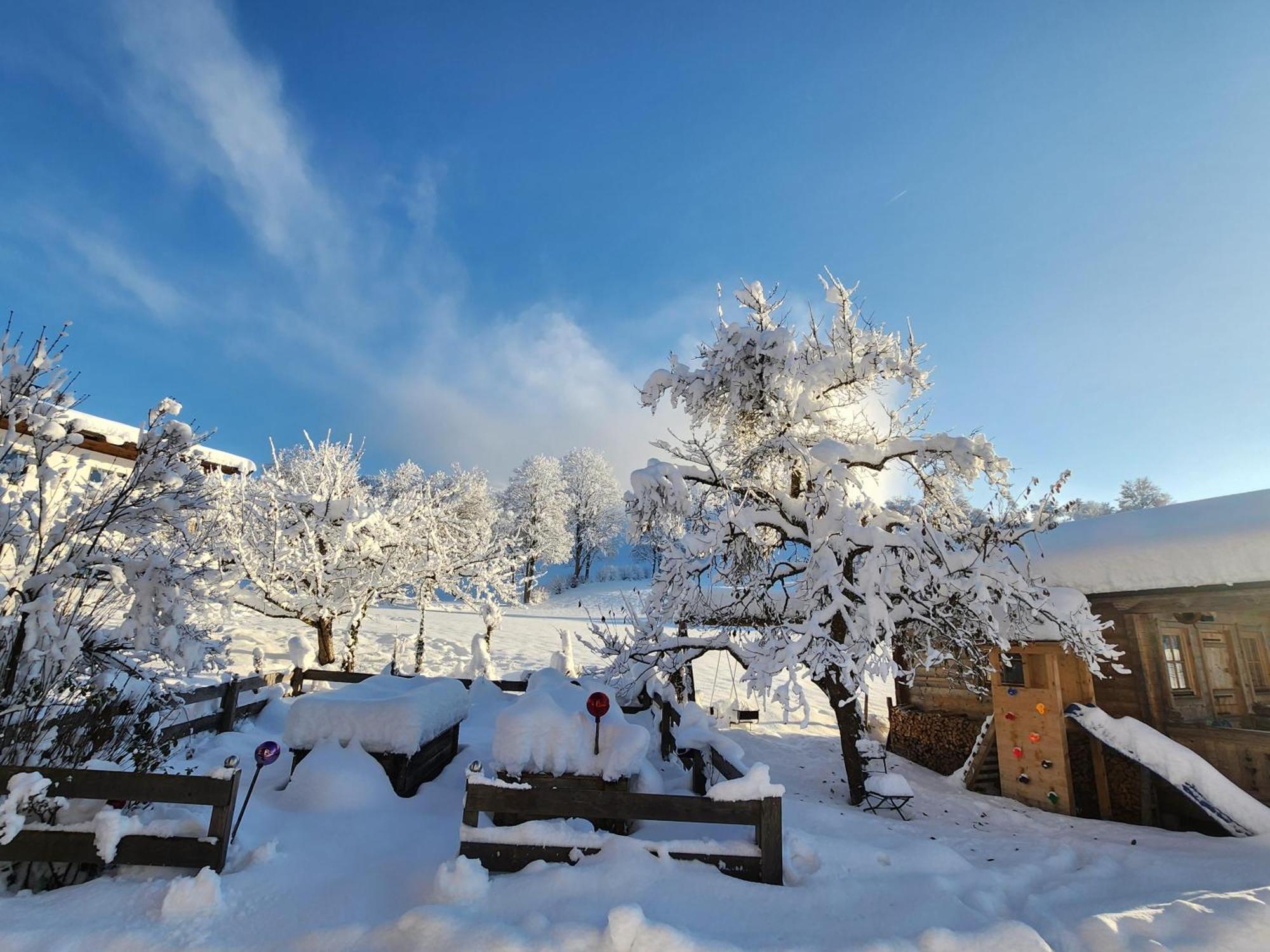 Woetzinghof Kirchberg in Tirol