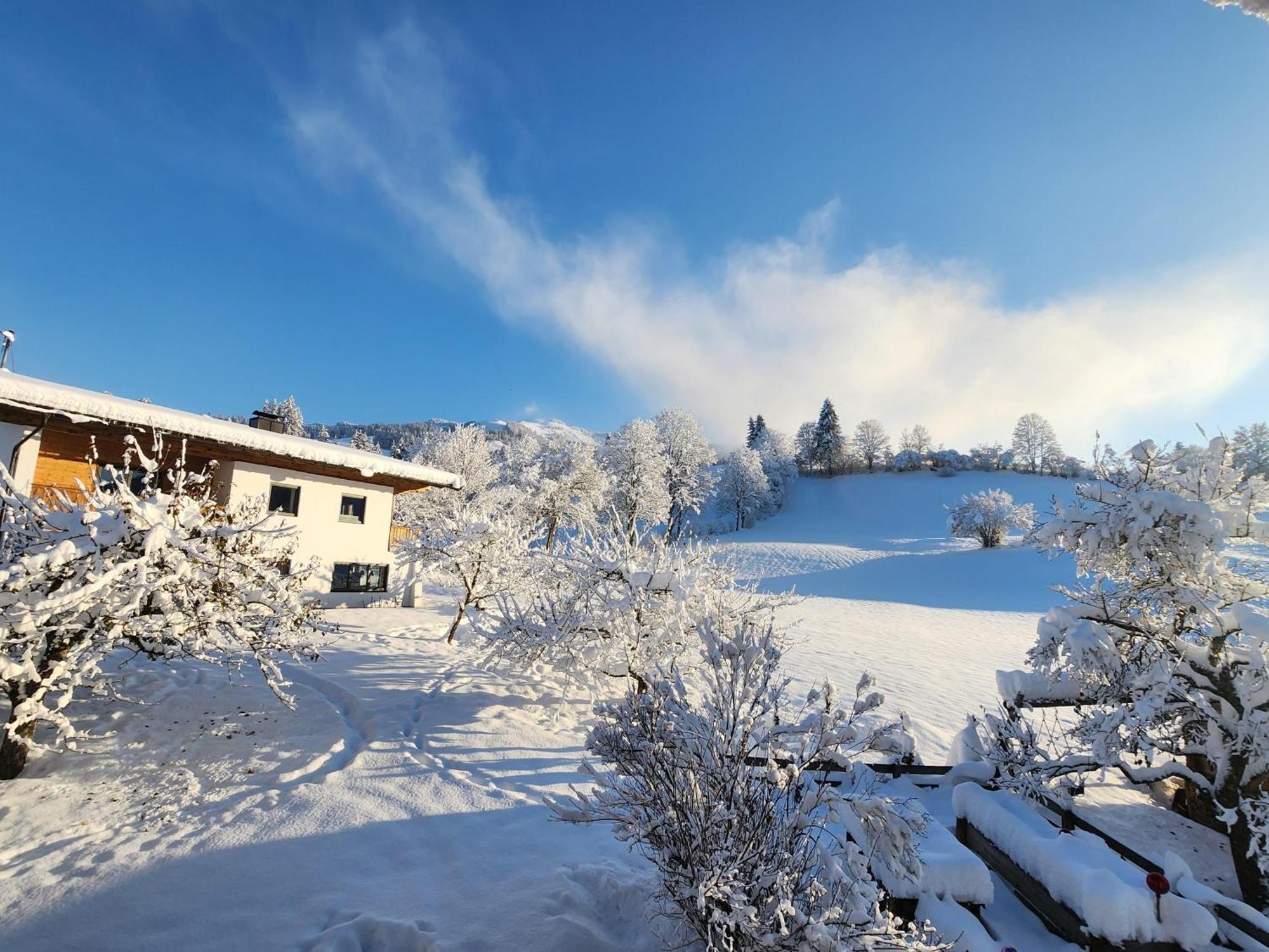 Woetzinghof Farm stay