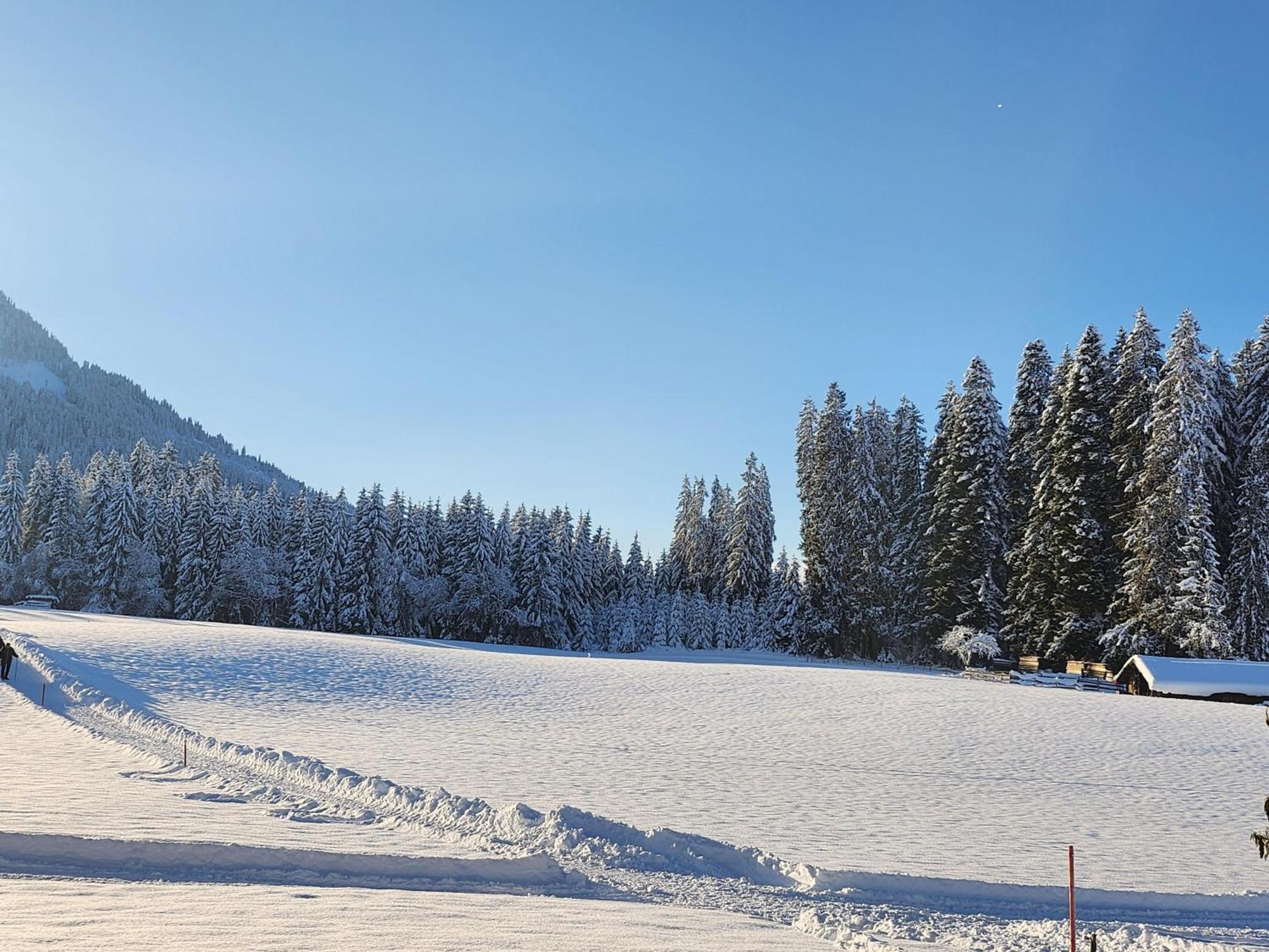 Woetzinghof Kirchberg in Tirol