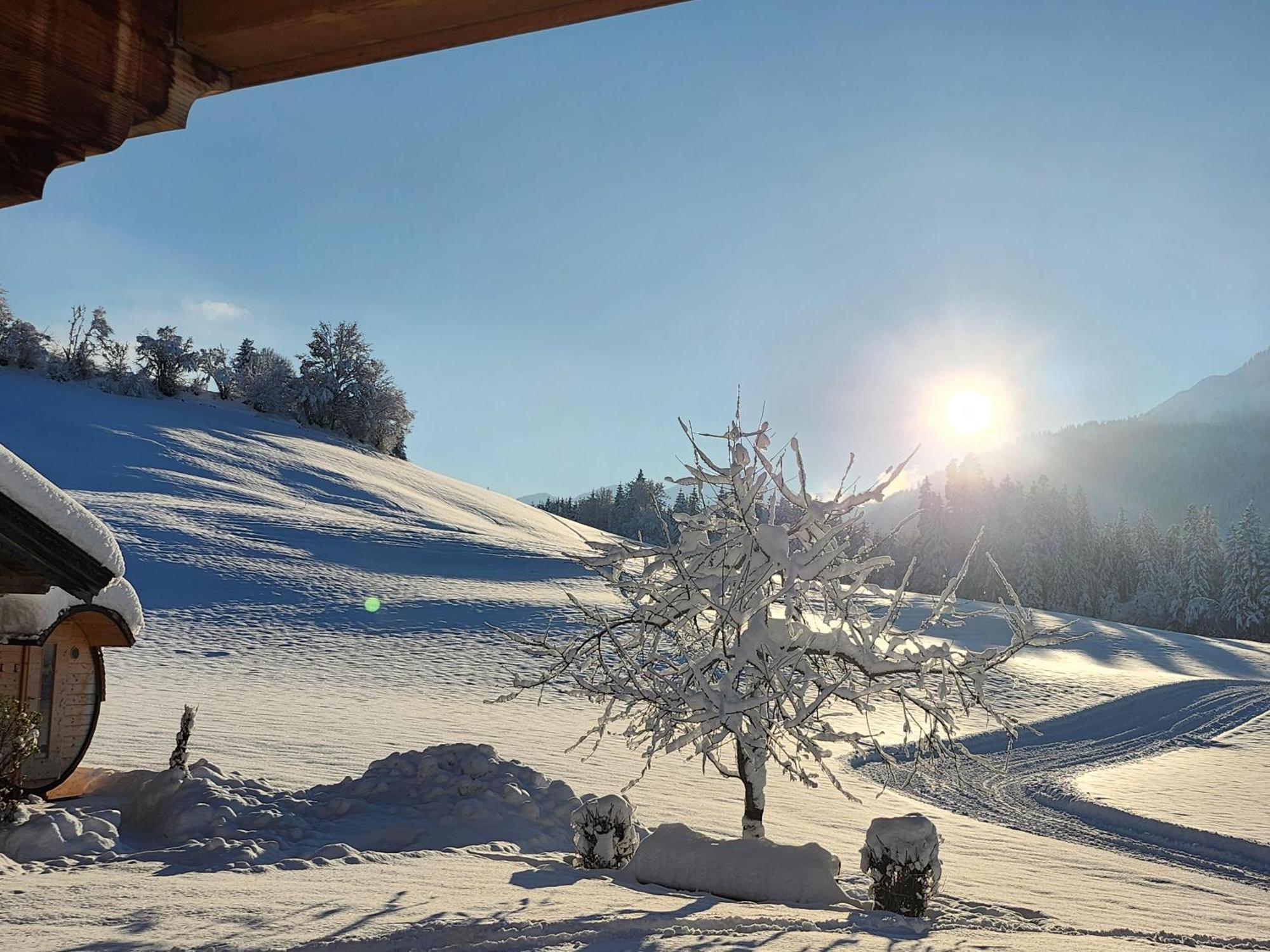 Woetzinghof Farm stay Kirchberg in Tirol