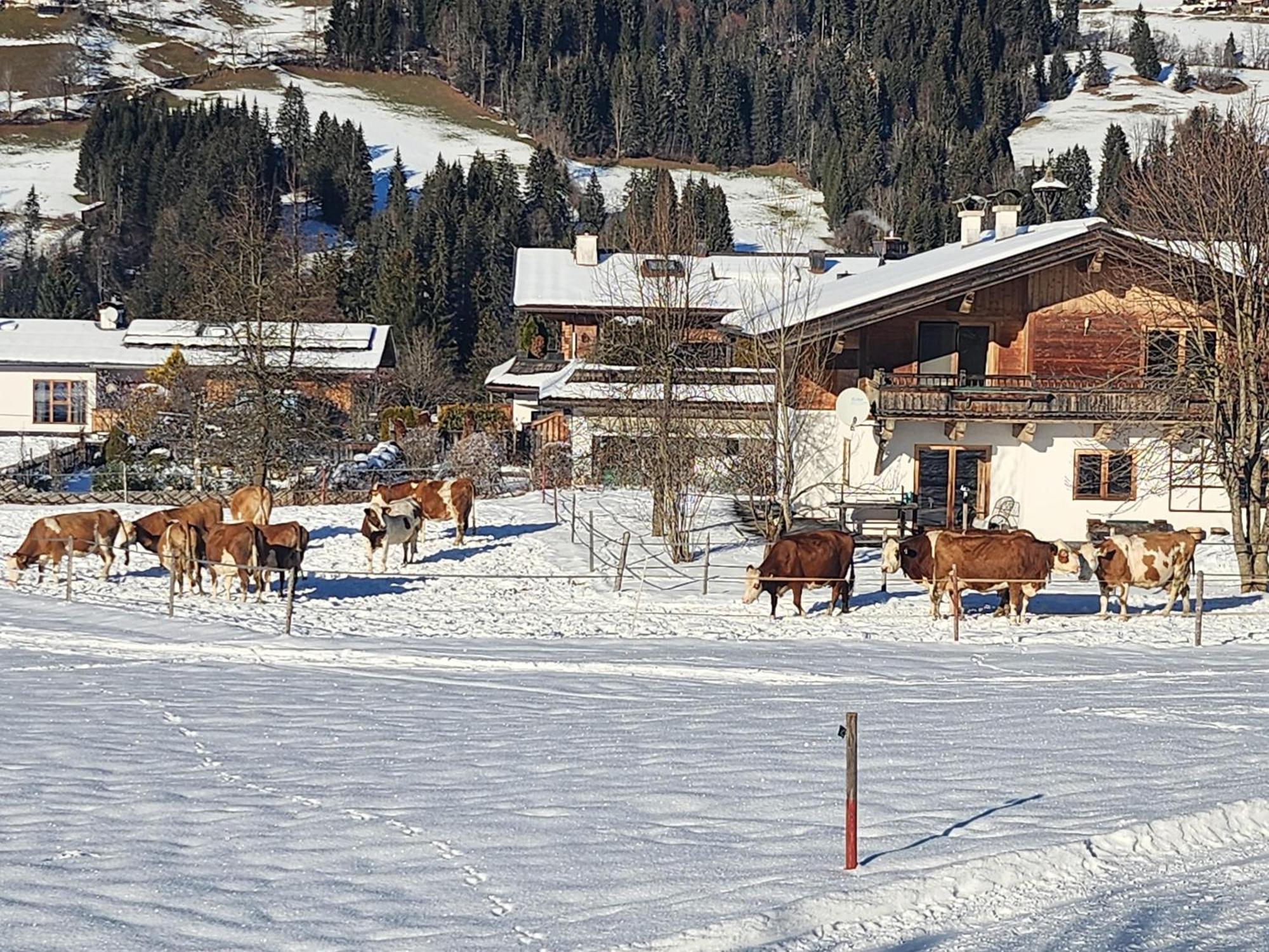 Woetzinghof * Kirchberg in Tirol
